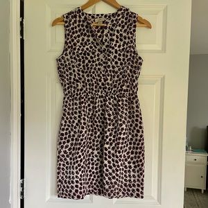 Loft Shift Dress Size Small petite